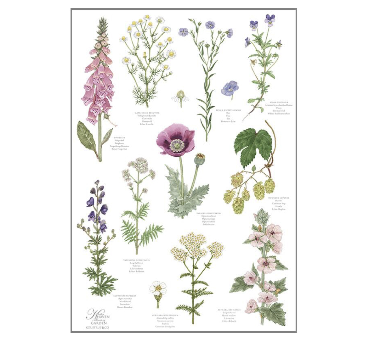 Monastery_Garden_Kitchen_Towel_KoustrupCo Koustrup & Co MONASTERY GARDEN KITCHEN TOWEL Geschirrtuch, Bio-Baumwolle