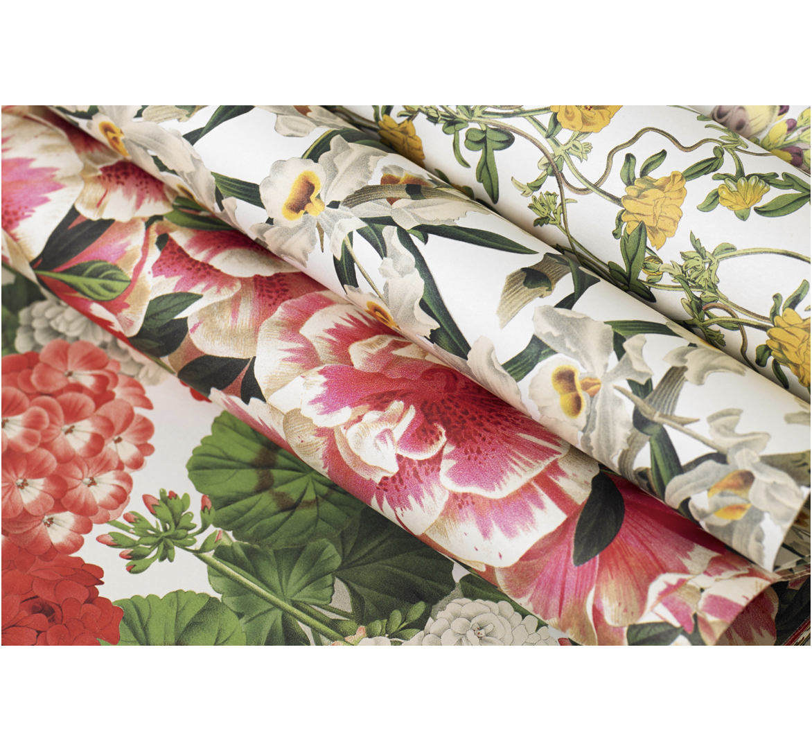 Flower_Geschenk_Papier_Pepin_Press48zFdK5dHeeKwx