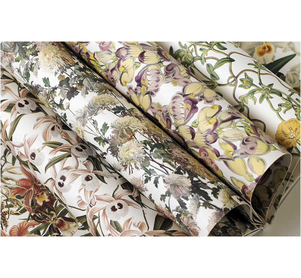 Flower_Geschenk_Papier_Pepin_Press3cyIDeMebXDAZD