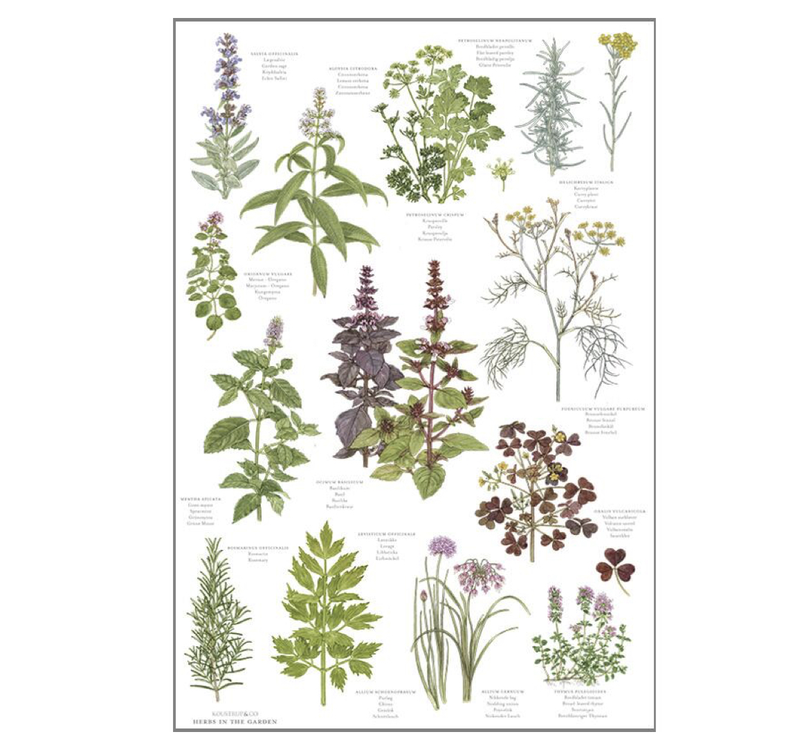 Herbs_Kitchen_Towel_KoustrupCo Koustrup & Co HERBS KITCHEN TOWEL Geschirrtuch, Bio-Baumwolle