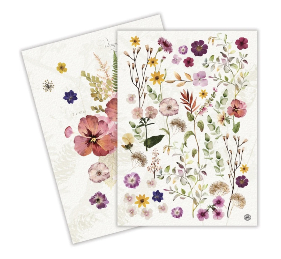 Michel Design Works PRESSED FLOWERS KITCHEN TOWEL (Pack of 2) Baumwoll-Geschirrtuch (2er Pack)