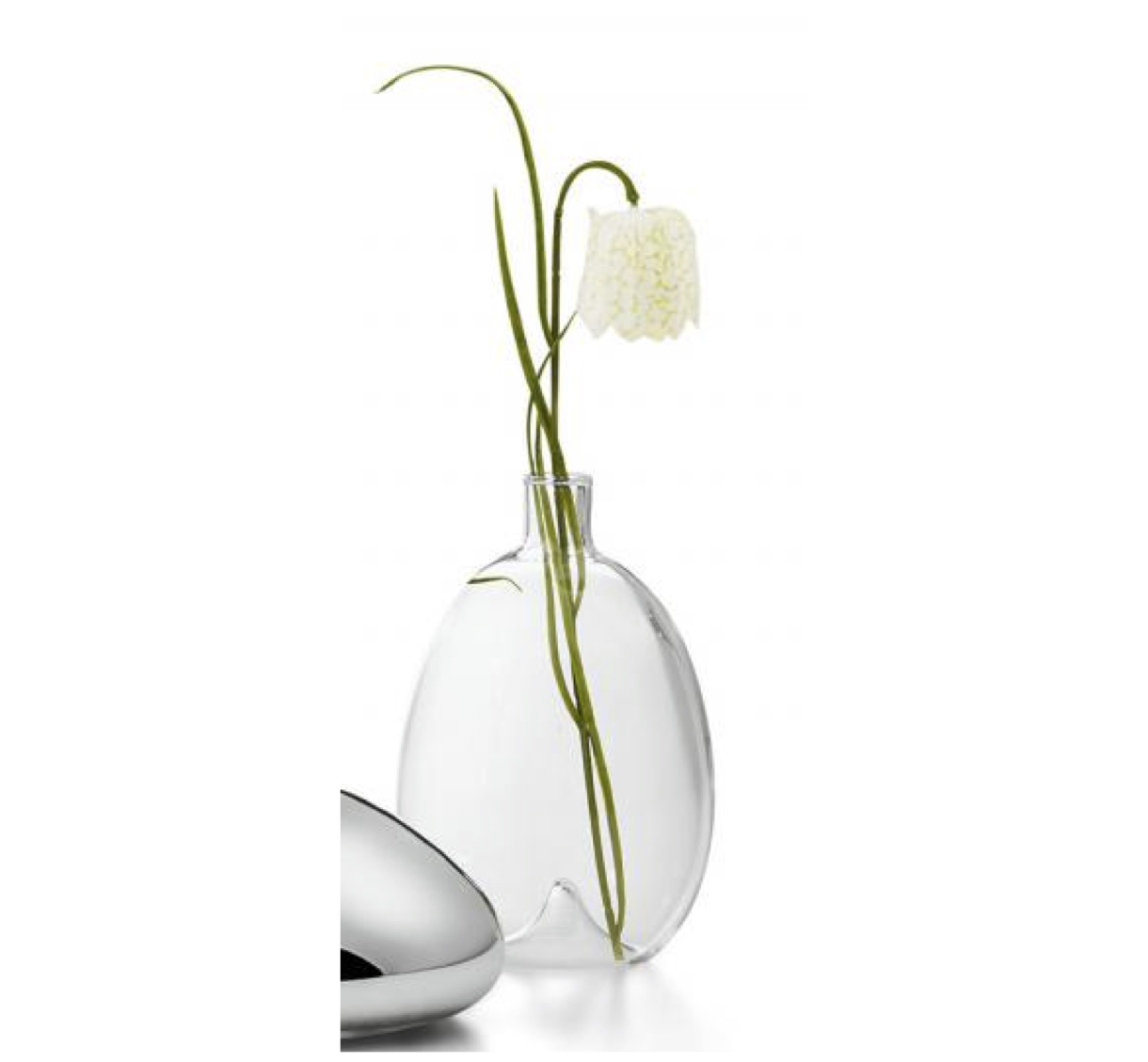 Tess_Vase_oval_klar Philippi Knospe Vase TESS