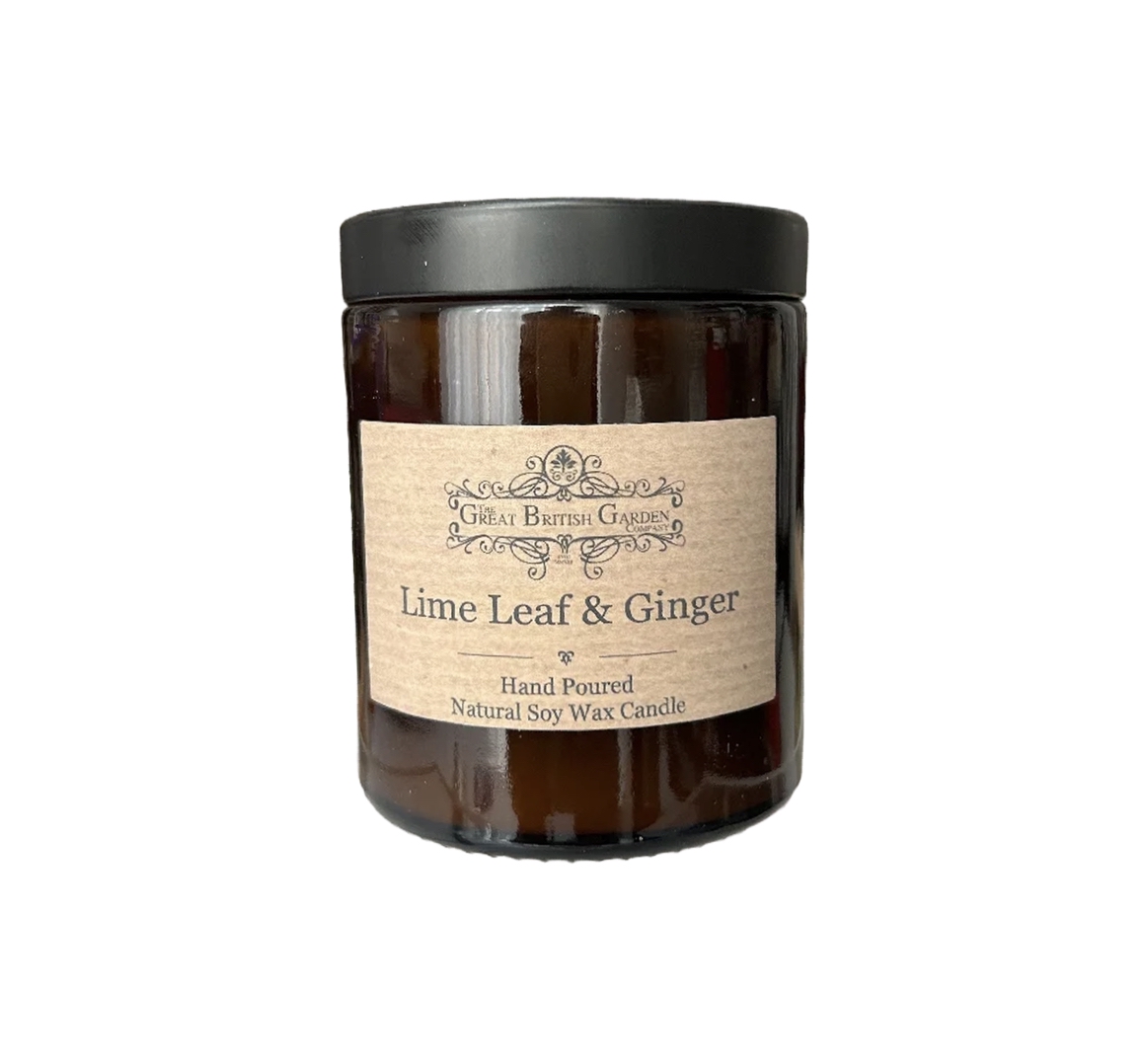 Great British Garden Co LIME LEAF & GINGER SCENTED CANDLE Duftkerze (Sojawachs)
