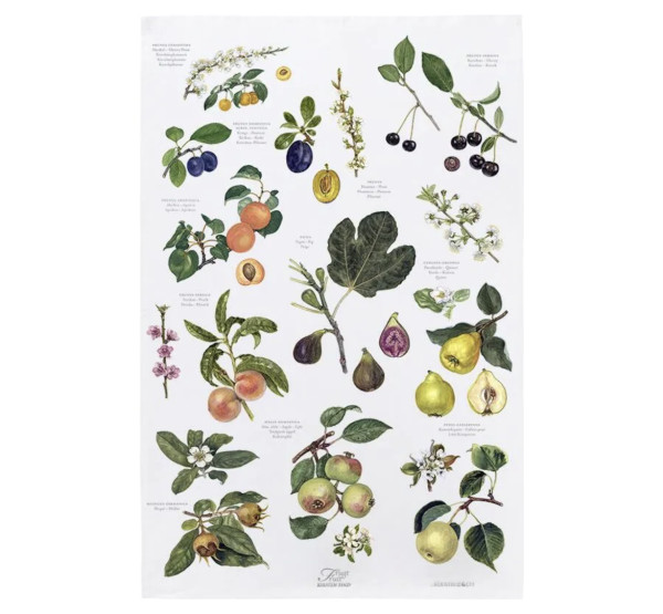 Koustrup & Co FRUITS KITCHEN TOWEL Geschirrtuch, Bio-Baumwolle