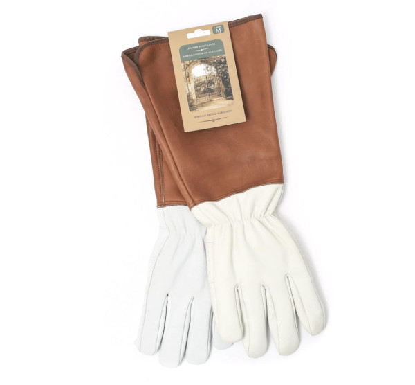 The Great British Garden Company LEATHER ROSE GLOVES W/ SLEEVE Leder-Rosenhandschuhe, Damen