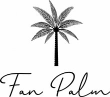 Fan Palm